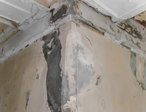 Water-Damaged Drywall: Repair or Replace? A Contractor’s Checklist